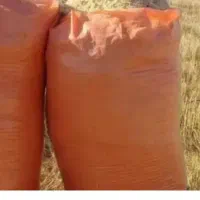 کاه گندم و جو
