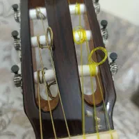 گیتار استیو 4ste|گیتار، بیس، امپلیفایر|ارومیه, |دیوار