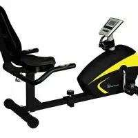 دوچرخه ثابت ورزشی حرفه ای