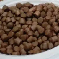 غذا ماهی بیومار لوفاک|ماهی|تهران, استاد معین|دیوار