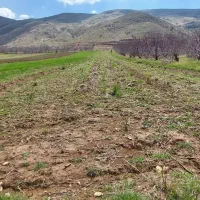 اجاره ۴ قطعه زمین کشاورزی  مجموعاً ۳۵۰۰ متر