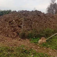 خاک مرغوب باغی