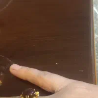 انگشترطلا|جواهرات|پرند, فاز ۲|دیوار