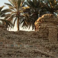 زمین روستای دهخدا