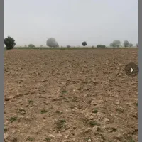 فروش دو قطعه زمین کشاورزی در خرمنلر روستای پیرنق|فروش زمین و ملک کلنگی|نیر (اردبیل), |دیوار