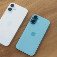 16normal/black /green