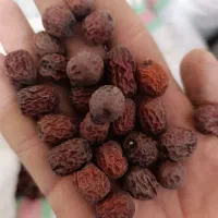 عناب دمنوشی بیرجند بلوار شعبانیه بدون خرابی دارویی|عمدهفروشی|بیرجند, |دیوار