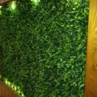 فروش چمن مصنوعی آسیا بهمراه نصب کامل ۴۸۰|مصالح و تجهیزات ساختمان|مشهد, امامیه (شهرک غرب)|دیوار