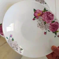 سرویس ارکوپال