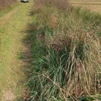 زمین کشاورزی|فروش زمین و ملک کلنگی|لشت نشا, |دیوار