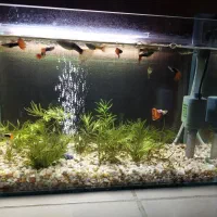 آکواریوم کامل