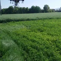 سمپاشی با پهپاد (پهباد)