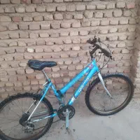 دوچرخه ۲۴