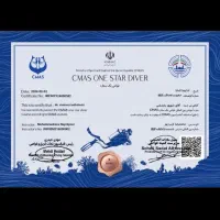 آموزش ۴ شنا صددرصد تضمینی|خدمات آموزشی|تهران, تهرانسر شرقی|دیوار