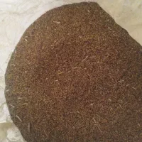 خریدار شبدر و بلوط و جفت و جو