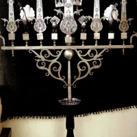 علم شبکه ای   سردمی   با حیوانات  چکشی