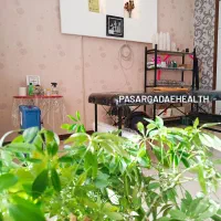 حجامت ماساژ زالو درمانی