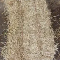 کلش بسته بندی درجه یک