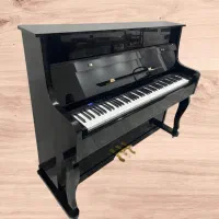 مرکز فروش پیانو|پیانو، کیبورد، آکاردئون|اردبیل, |دیوار