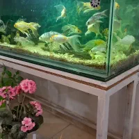 فروش اثاث منزل