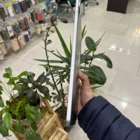 تبلت honor pad10|تبلت|ارومیه, |دیوار