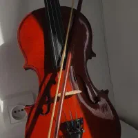 ویالن رناتو