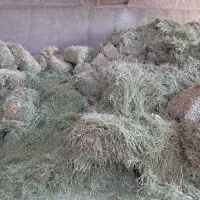 بیده سبسک یونجه