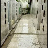 سگ .آموزش .پانسیون.مشاوره|خدمات پیشه و مهارت|سنگر, |دیوار