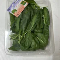 چند نفر کارگر خانم جهت کار شرکت سبزیجات نیازمندیم