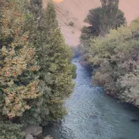 گردشگری|خدمات پذیرایی، مراسم|آسارا, |دیوار