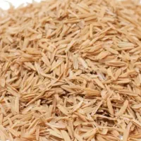 شلتوک برنج مرغوب ویژه گلخانه|خدمات باغبانی و درختکاری|مشهد, بهمن|دیوار