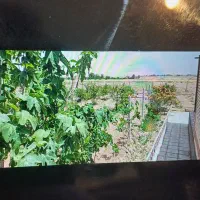 باغ فروشی دلیجان