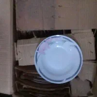 ظروف چینی نو