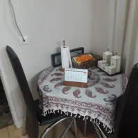 میز و صندلی ناهار خوری جنس استیل
