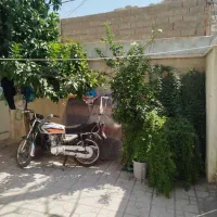 منزل اجاره ای|اجارهٔ خانه و ویلا|شیراز, نیستان|دیوار