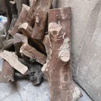 تنه درخت و هیزم