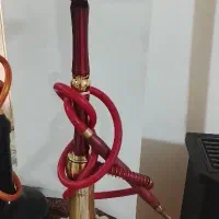 قلیان ولف تمیز و مرتب