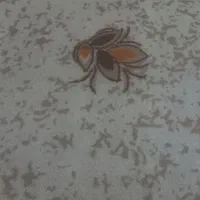 موکت