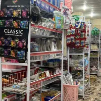 استخدامی خانم در دنیای پلاسکو