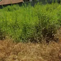 زمین ۴۰۰متری مسکونی سنددار و پروانه ساخت ویلای