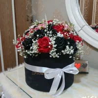 گل رز روبانی
