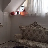 فنچ بنگالی|پرنده|قم, شهرک امام حسین|دیوار