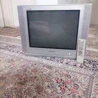 تلویزیون