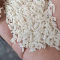 برنج درجه یک یک