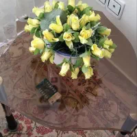 مبلمان ۷نفره|مبلمان خانگی و میز عسلی|باغستان, |دیوار