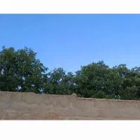 اجاره گاوداری بزرگ با سوله دره پهن فارسان