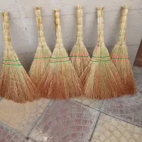 جاروسنتی میانه