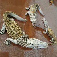 مجسمه تمساح