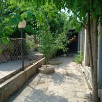 پانسیون سگ|لوازم جانبی حیوانات|ارطه, |دیوار