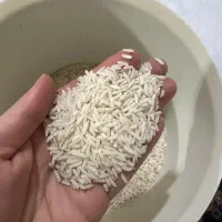 برنج هاشمی|خوردنی و آشامیدنی|رشت, شهرک صبا|دیوار